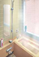 Zero Chastity: A Sultry Summer Holiday / 貞操観念ZERO ～ヤリマン家族とハメ狂い夏休み～ [Mizuryu Kei] [Original] Thumbnail Page 508