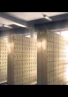 Zero Chastity: A Sultry Summer Holiday / 貞操観念ZERO ～ヤリマン家族とハメ狂い夏休み～ [Mizuryu Kei] [Original] Thumbnail Page 561