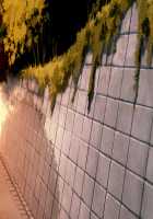 Itsu Made mo Musuko no Mama ja Irarenai! ~ Sewazuki Aoi Kaa-san no Muchimuchi Oppai ni Amaete Ippai Shasei Shitai!~ / いつまでも息子のママじゃいられない！ ～世話好き愛生母さんのむちむちおっぱいに甘えていっぱい射精したい！～ [Hodumi Kaoru] [Original] Thumbnail Page 192