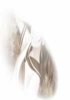 Mesu Ochi! Kyonyuu Zuma to no Iyasare Love Onsen ~Kyonyuu Zuma-tachi to Mi mo Kokoro mo Fureau Love Ero Seikatsu~ / メス堕ち! 巨乳妻との癒され愛温泉 ～巨乳妻たちと身も心もふれあうラブエロ性活～ [Momizi-kei] [Original] Thumbnail Page 157