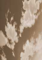 Seiso na Aniyome wa Ore dake no Inran Niku Onaho / 清楚な兄嫁は俺だけの淫乱肉オナホ [Momizi-kei] [Original] Thumbnail Page 474