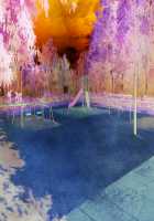 H de Hajiketa Itazura Wizard ~Mahou no Chikara de Itazura Shihoudai!~ / Ｈではじけた悪戯ウィザード ～魔法の力でいたずらし放題！～ [Mimi Enu] [Original] Thumbnail Page 254