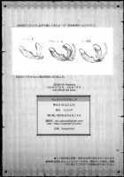 Monhan No Erohon 14 / もんはんのえろほん14 [Kizuki Aruchu] [Monster Hunter] Thumbnail Page 48