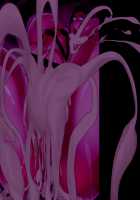 Futanari Gal ga Sensei o Pet ni Suru Ohanashi. / ふたなりギャルが先生をペットにするお話。 [Kaim] [Original] Thumbnail Page 72