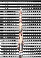 H de Hajimeru Strategy! ~Cute Rare Keiei Fukkou Keikaku~ / Hではじめるストラテジー!～キュートレア経営復興計画～ [Mimi Enu] [Original] Thumbnail Page 206