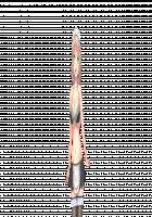 H de Hajimeru Strategy! ~Cute Rare Keiei Fukkou Keikaku~ / Hではじめるストラテジー!～キュートレア経営復興計画～ [Mimi Enu] [Original] Thumbnail Page 207