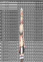 H de Hajimeru Strategy! ~Cute Rare Keiei Fukkou Keikaku~ / Hではじめるストラテジー!～キュートレア経営復興計画～ [Mimi Enu] [Original] Thumbnail Page 209