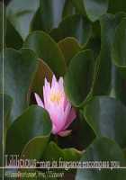 I Fell In Love For The First Time Ch.1-4 [Asagi Ryu] [Original] Thumbnail Page 32