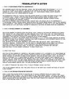 Shinsou Makou Shoujo THE COMIC Shiroki Seiken no Rizuve to Akaki Senrai no Raiza Episode 1 / 神装魔光少女 THE COMIC 白き聖剣のリズヴェと赤き閃雷のライザ Episode1 [Hisui] [Original] Thumbnail Page 39