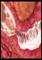 Hentai Houseparty: Gyaru Gangbang / 家をたまり場にするデカパイギャルたちを巨チンでわからせ!～メス猿共をハメ回すだけの孕ませハーレム性活!～ [Yatsuki Hiyori] [Original] Thumbnail Page 488