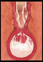 Hentai Houseparty: Gyaru Gangbang / 家をたまり場にするデカパイギャルたちを巨チンでわからせ!～メス猿共をハメ回すだけの孕ませハーレム性活!～ [Yatsuki Hiyori] [Original] Thumbnail Page 500