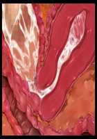 Hentai Houseparty: Gyaru Gangbang / 家をたまり場にするデカパイギャルたちを巨チンでわからせ!～メス猿共をハメ回すだけの孕ませハーレム性活!～ [Yatsuki Hiyori] [Original] Thumbnail Page 504