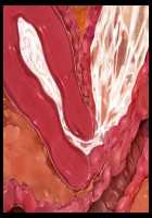 Hentai Houseparty: Gyaru Gangbang / 家をたまり場にするデカパイギャルたちを巨チンでわからせ!～メス猿共をハメ回すだけの孕ませハーレム性活!～ [Yatsuki Hiyori] [Original] Thumbnail Page 510