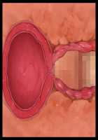 Hentai Houseparty: Gyaru Gangbang / 家をたまり場にするデカパイギャルたちを巨チンでわからせ!～メス猿共をハメ回すだけの孕ませハーレム性活!～ [Yatsuki Hiyori] [Original] Thumbnail Page 515