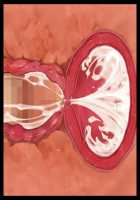 Hentai Houseparty: Gyaru Gangbang / 家をたまり場にするデカパイギャルたちを巨チンでわからせ!～メス猿共をハメ回すだけの孕ませハーレム性活!～ [Yatsuki Hiyori] [Original] Thumbnail Page 519