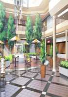 Ane Yome Quartet / あねよめカルテット [Ayase Hazuki] [Original] Thumbnail Page 1755