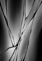 Ane Yome Quartet / あねよめカルテット [Ayase Hazuki] [Original] Thumbnail Page 1808