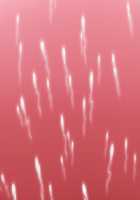 Moto Yankee Zuma Hinako ~Shinshin Tomoni Kanzen Netori!~ / 元ヤンキー妻 雛子 ～心身ともに完全寝取り!～ [Kuzumi] [Original] Thumbnail Page 335