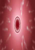 Moto Yankee Zuma Hinako ~Shinshin Tomoni Kanzen Netori!~ / 元ヤンキー妻 雛子 ～心身ともに完全寝取り!～ [Kuzumi] [Original] Thumbnail Page 336