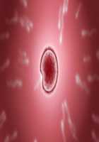 Moto Yankee Zuma Hinako ~Shinshin Tomoni Kanzen Netori!~ / 元ヤンキー妻 雛子 ～心身ともに完全寝取り!～ [Kuzumi] [Original] Thumbnail Page 337