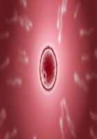 Moto Yankee Zuma Hinako ~Shinshin Tomoni Kanzen Netori!~ / 元ヤンキー妻 雛子 ～心身ともに完全寝取り!～ [Kuzumi] [Original] Thumbnail Page 338