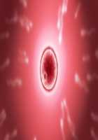 Moto Yankee Zuma Hinako ~Shinshin Tomoni Kanzen Netori!~ / 元ヤンキー妻 雛子 ～心身ともに完全寝取り!～ [Kuzumi] [Original] Thumbnail Page 339