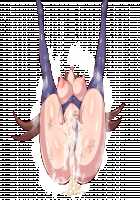 Shinmai Kishi Ratie ~Saimin de Joushiki Kaihen Sareru Kishi~ / 新米騎士ラティ～催眠で常識改変される騎士～ [Original] Thumbnail Page 153