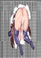 Shinmai Kishi Ratie ~Saimin de Joushiki Kaihen Sareru Kishi~ / 新米騎士ラティ～催眠で常識改変される騎士～ [Original] Thumbnail Page 160