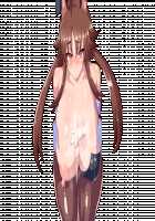 Shinmai Kishi Ratie ~Saimin de Joushiki Kaihen Sareru Kishi~ / 新米騎士ラティ～催眠で常識改変される騎士～ [Original] Thumbnail Page 181