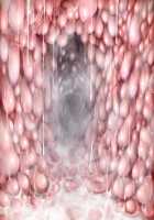 Shin Matai Toshi / 真・魔胎都市 [Rindou] [Original] Thumbnail Page 47