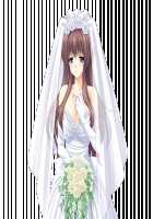 Wedding Blue [Kuroda Akimi] [Original] Thumbnail Page 341