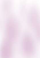 Ojou-sama wa Sadist ~Kono Hentai Sochin Yarou! Peniban Bussashite Gangan Kozuita Dake de Kuso Kitanee Rettou Semen Tarenagashiyagatte Inran Mazo Yarou, Ahhahahahaha!!~ / お嬢様はサディスト ～この変態粗チン野郎ッ! ペニバンぶッ刺してガンガン小突いただけで糞汚ねぇ劣等ザーメン垂れ流しやがって淫乱マゾ野郎ッ、あッははははは!!～ [Otochichi] [Original] Thumbnail Page 178