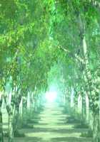 TS Mahou Shoujo Nao! Plus!! / TS魔法少女なお！Plus！！ [Aoi Masami] [Original] Thumbnail Page 761