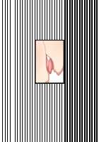 Akuma to Step Shinseikatsu / 悪魔とすてっぷ新性活 [Original] Thumbnail Page 1789