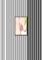 Akuma to Step Shinseikatsu / 悪魔とすてっぷ新性活 [Original] Thumbnail Page 1797