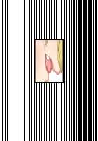 Akuma to Step Shinseikatsu / 悪魔とすてっぷ新性活 [Original] Thumbnail Page 1802