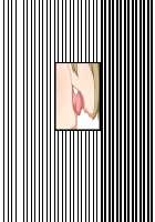 Akuma to Step Shinseikatsu / 悪魔とすてっぷ新性活 [Original] Thumbnail Page 1806