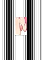 Akuma to Step Shinseikatsu / 悪魔とすてっぷ新性活 [Original] Thumbnail Page 1809