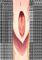 Saikou ni Tsugou no Ii Paizuri Jouzu no Marie-san / 最高に都合のいいパイズリ上手のマリーさん [Kurokawa Otogi] [Original] Thumbnail Page 601