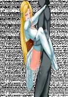 Princess Quest - Shuuchi to Kutsujoku no Himegimi / プリンセスクエスト 羞恥と屈辱の姫君 [Original] Thumbnail Page 560