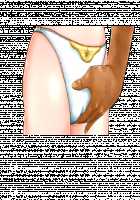 Princess Quest - Shuuchi to Kutsujoku no Himegimi / プリンセスクエスト 羞恥と屈辱の姫君 [Original] Thumbnail Page 784