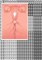 Queen’s Diary of Adulterous Mating: RPG In Which Love Affair Is National Affair [Yat] [Original] Thumbnail Page 1046