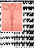 Queen’s Diary of Adulterous Mating: RPG In Which Love Affair Is National Affair [Yat] [Original] Thumbnail Page 1047