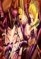 Ishuzoku no Torikohime ~Semete Ningen no Aite o Sasete!~ / 異種族の虜姫～せめて人間の相手をさせて！～ パッケージ版 [Kinosaki Yuki] [Original] Thumbnail Page 223