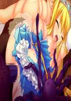 Ishuzoku no Torikohime ~Semete Ningen no Aite o Sasete!~ / 異種族の虜姫～せめて人間の相手をさせて！～ パッケージ版 [Kinosaki Yuki] [Original] Thumbnail Page 316