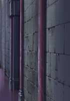 Ishuzoku no Torikohime ~Semete Ningen no Aite o Sasete!~ / 異種族の虜姫～せめて人間の相手をさせて！～ パッケージ版 [Kinosaki Yuki] [Original] Thumbnail Page 402