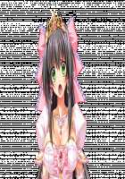 Ishuzoku no Torikohime ~Semete Ningen no Aite o Sasete!~ / 異種族の虜姫～せめて人間の相手をさせて！～ パッケージ版 [Kinosaki Yuki] [Original] Thumbnail Page 425