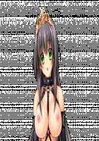 Ishuzoku no Torikohime ~Semete Ningen no Aite o Sasete!~ / 異種族の虜姫～せめて人間の相手をさせて！～ パッケージ版 [Kinosaki Yuki] [Original] Thumbnail Page 447