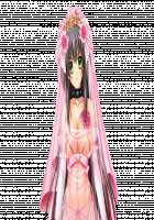 Ishuzoku no Torikohime ~Semete Ningen no Aite o Sasete!~ / 異種族の虜姫～せめて人間の相手をさせて！～ パッケージ版 [Kinosaki Yuki] [Original] Thumbnail Page 489