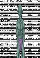 Ishuzoku no Torikohime ~Semete Ningen no Aite o Sasete!~ / 異種族の虜姫～せめて人間の相手をさせて！～ パッケージ版 [Kinosaki Yuki] [Original] Thumbnail Page 525